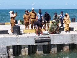 Rumpon Dasar Mini Hadir di Kolam Labuh Bentenge, Perkuat Ekosistem Laut dan Edukasi Perikanan Berkelanjutan