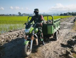 Satgas TMMD Ke -129 Kodim 1404/Pinrang Kerahkan Motor Roda Tiga Percepat  Pengangkutan Distribusi Material Di Lokasi Yang Sulit Di Jangkau Truk Besar
