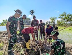Antisipasi Tanaman Padi Satgas TMMD Ke – 129 Kodim 1404/Pinrang Bersama Warga Basmi Hama Tikus Di Persawahan