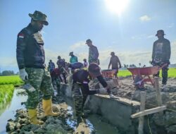 Gaspol Pekerjaan Sasaran Fisik  Satgas TMMD Ke – 129 Kodim 1404/Pinrang, Terus Genjot Pembuatan Talud  Jalan Tani Desa Tanratuo