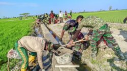 Memasuki Hari Ke -16 Satgas TMMD Ke -129 Kodim 1404/Pinrang “Dengan Semagat Pantang Menyerah Di Sertai Semangat Membara Percepat Pembangunan Sasara Fisik”
