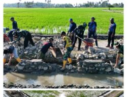 Pembangunan Jalan Tani Oleh TMMD Ke-129 Kodim 1404/Pinrang  Capai 48 Persen  Di Hari Ke – 11
