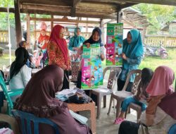 Kader dan Posyandu Bulukumba Juara 1 Tingkat Sulsel, Wakili Sulsel di Ajang Nasional