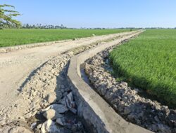 Berkat Satgas TMMD Ke 129 Kodim 1404/Pinrang”Inpian Warga Desa Tanratuo Untuk Dapatkan Akses Jalan Tani Jadi Nyata” Kini Truk Bisa Langsung Masuk Kearea Persawahan