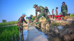 Lawan Panas Demi Pengabdian, Satgas TMMD Ke -129 Kodim 1404/Pinrang  Tetap Gaspol  Sekesaikan Sasaran Fisik