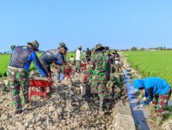 Panorama Sawah Menghijau Bangkitkan  Optimisme Satgas TMMD Ke 129 Kodim 1404/Pinrang  Kejar  Penyelesaian  Sasaran  Di Desa Tanratuo
