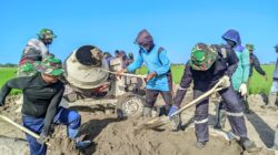 Deru Mesin Molen Jadi Pelecut Semangat Satgas TMMD Ke – 129 Kodim 1404/Pinrang  Kejar Target Penyelesaian  Tepat Waktu