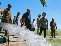 Pemkab Pinrang Maksimalkan Pompa Air Untuk Antisipasi Kemarau Panjang