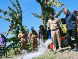 Pinrang Siaga Kemarau Seluruh Sumber Daya  Dikerahkan Untuk Petani