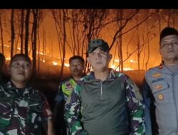Dandim 1420 Sidrap Turun Langsung Padamkan Kebakaran Lahan di Mattirotasi