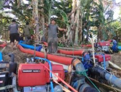 Hadapi Kondisi Musim Kemarau, Ini Yang di Lakukan Pemerintah Kabupaten Pinrang