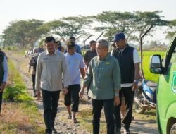 Wakil Bupati Pinrang Langsung Meninjauh  Penyemprotan  Menggunakan Drone Untuk Petani