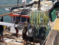 Apartemen Ikan Mulai Diturunkan di Dasar Laut, Pemkab Bulukumba Bangun Habitat Ikan Dekat Pantai