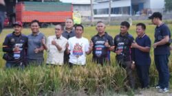 Bupati Sidrap Kenalkan Potensi Pertanian ke Wali Kota Tarakan, Buka Peluang Kerja Sama Perdagangan Antardaerah