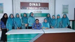TIM Penggerak PKK Kabupaten Pinrang Kolaborasi Dinas Ketanaman Pangan Dan Hultikultura Mendorong Penguatan Hilirisasi  Hasil Pertanian Dan Hultikultura