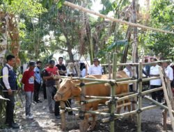 Jambore Pelayanan Publik Gantarang Hadirkan Layanan Kesehatan Hewan, Sapi hingga Kucing Dilayani