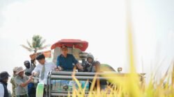 Dorong  Produktivitas Dan Kesejahteraan Petani Di Pinrang Dengan Penerapan  PM – AAS