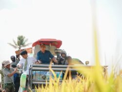 Dorong  Produktivitas Dan Kesejahteraan Petani Di Pinrang Dengan Penerapan  PM – AAS