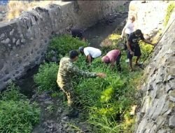Tingkatkan Kemandirian Wilayah, Babinsa Bersama Warga Kelurahan Wala Gencarkan Gotong Royong Pembersihan Saluran Air