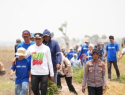 Sumur Bor Hadir, Sawah Tadah Hujan di Bapangi Tetap Produktif